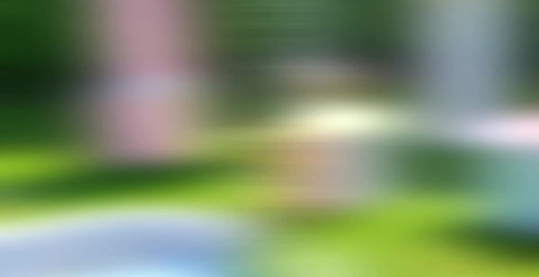 Main Parties Video